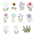 Vector collection of flat cartoon field flowers and herbs Royalty Free Stock Photo