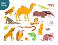 Vector collection of flat hand drawn desert animal, reptiles, insects: camel, snake, lizard isolated on white background. Royalty Free Stock Photo