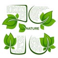 vector collection of fresh green leaf frames, emblems, design elements, stickers Royalty Free Stock Photo