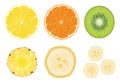 Vector collection of fruit cuts