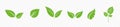 Vector collection with green leaves in flat style for icons and graphic design Royalty Free Stock Photo