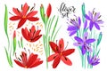 Vector collection of hand drawn plants. Botanical set of colorful doodle style flowers, leaves and branches. Royalty Free Stock Photo