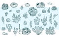 Vector collection of hand drawn sea weeds, corals, sea anemones illustration. Royalty Free Stock Photo