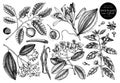 Vector collection of hand drawn spices. Decorative set of aromatic and tonic fruits plants sketch. Vintage kitchen illustrations. Royalty Free Stock Photo