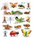 Vector collection of insects isolated on a white background Royalty Free Stock Photo