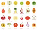 Vector collection of isolated fruits cut in half