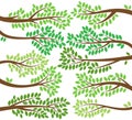 Vector Collection of Leafy Tree Branch Silhouettes Royalty Free Stock Photo