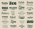 Vector collection of logo and labels, badges for healthy life with decorative elements. Royalty Free Stock Photo