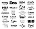 Vector collection of logo and labels, badges for healthy life with decorative elements. Royalty Free Stock Photo