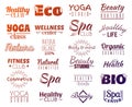 Vector collection of logo and labels, badges for healthy life with decorative elements. Royalty Free Stock Photo