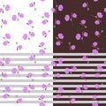 Vector collection of matching seamless patterns with primrose flowers and stripes Royalty Free Stock Photo