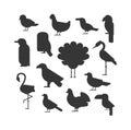 Vector Collection of nature black bird wildlife animal silhouettes. Royalty Free Stock Photo