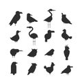 Vector Collection of nature black bird wildlife animal silhouettes. Royalty Free Stock Photo