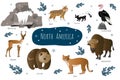 Vector collection with north american animals. Illustration with cute animals for children. Mountain goat, bobcat