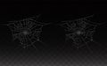 Vector collection of realistic cobweb, spider web