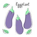 Vector collection with silhouette of eggplants. Cute cartoon vegetables