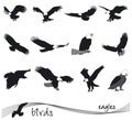 Vector collection of silhouettes of eagles