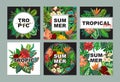 Vector collection with six cards, notes and banners with exotic flowers, plants and leaves. Royalty Free Stock Photo