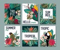 Vector collection with six cards, notes and banners with toucan, exotic flowers, plants and leaves. Royalty Free Stock Photo