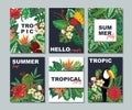 Vector collection with six cards, notes and banners with toucan, exotic flowers, plants and leaves. Royalty Free Stock Photo