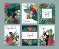 Vector collection with six cards, notes and banners with toucan, exotic flowers, plants and leaves. Royalty Free Stock Photo