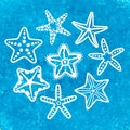 Vector collection of various sea starfish