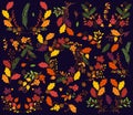 Vector Collection of Vintage Style Autumn or Fall Flowers