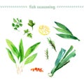 Vector collection of watercolor herbs Royalty Free Stock Photo