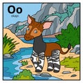 Color alphabet for children, letter O okapi