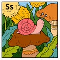 Color alphabet for children, letter S snail