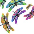 Vector color art dragonfly nature wildlife Royalty Free Stock Photo