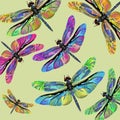Vector color art dragonfly nature wildlife Royalty Free Stock Photo