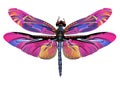 Vector color art dragonfly nature wildlife