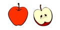 Vector color drawing of whole and cut in half apple. Clip art, symbol of harvest, summer, autumn, garden, school snack