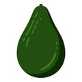 Vector Color Flat Design Icon Avocado Royalty Free Stock Photo