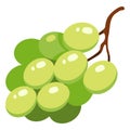 Vector Color Flat Design Icon - Green Grapes Fruit Royalty Free Stock Photo