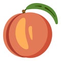 Vector Color Flat Design Icon Peach Fruit Royalty Free Stock Photo