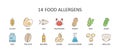 Vector color icons of 14 major food allergens. Editable Stroke. Milk lupine celery peanuts nuts sesame sulphur dioxide crustaceans