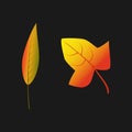 Vector color illustration. Autumn leaves. Abstract vector illustration banner. Autumn nature. Light banner. Golden color