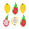 Vector illustration of a dragon fruit whole and half on a white background in a flat style. Royalty Free Stock Photo