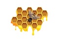 Vector color illustration of honeycomb with honey drops and bee. Royalty Free Stock Photo