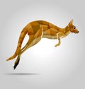 Vector color illustration of a kangaroo