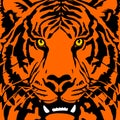 Vector color illustration. Stylized face of a tiger. Orange tiger