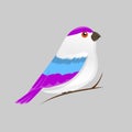 Vector color image of a bird, bird design icon. Royalty Free Stock Photo