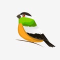 Vector color image of a bird, bird design icon.