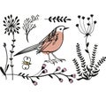 Vector color image of a birdand plants, bird icon design. Cute birds and plants cartoon. placard decor. Art print. Folk art bird d Royalty Free Stock Photo