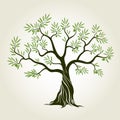 Vector Color Olive Tree with green leafs. Royalty Free Stock Photo