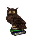 Vector color owl sits on books isolated on white background, graphical brown night bird,illustration.Symbol of knowledge