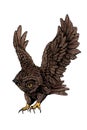 Vector color owl with open wings isolated on white background, graphical brown night bird,illustration.Symbol of Royalty Free Stock Photo