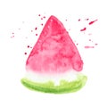 Vector color paint watermelon texture isolated on white